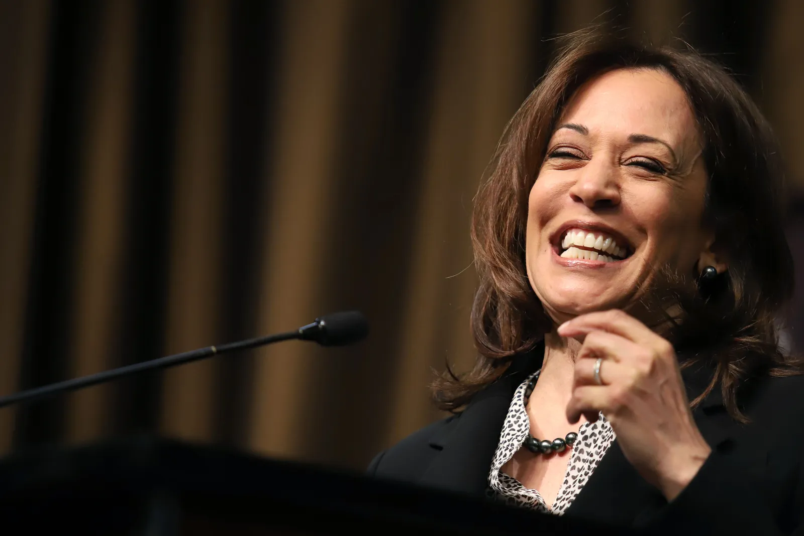 Kamala Harris Issues Stark Warning About Donald Trump During Presidential Nomination Acceptance